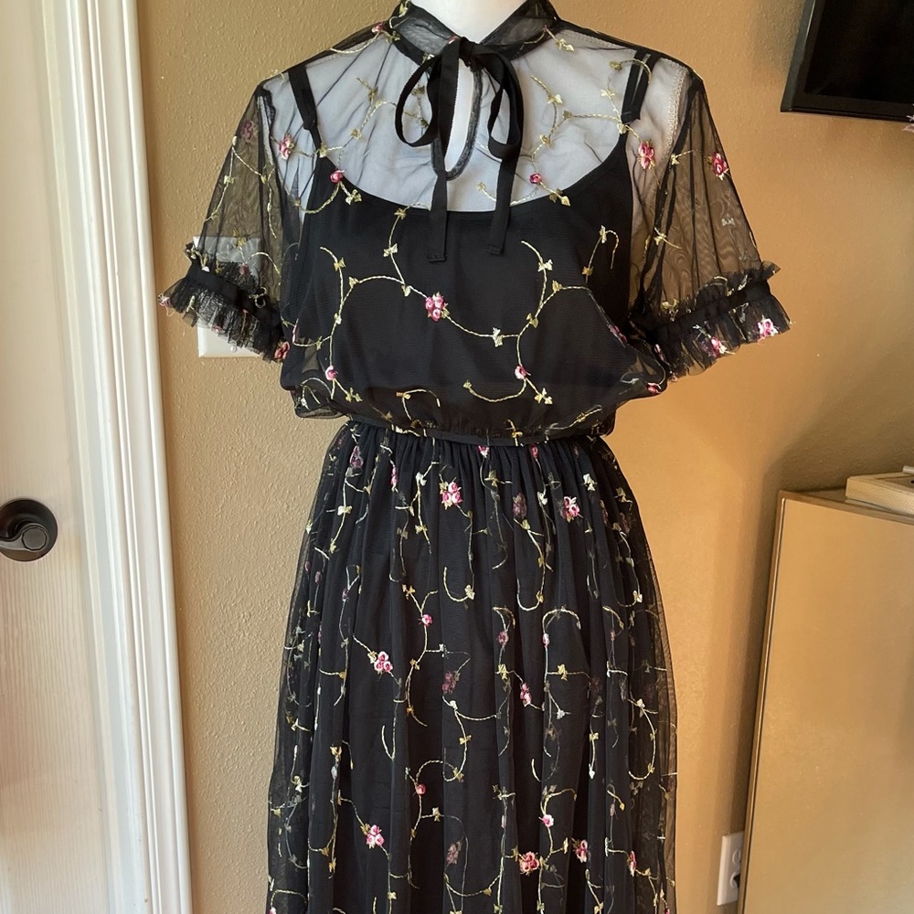 Liquorish floral Embroidered Mesh Dress with Slip - Picture 4 of 5